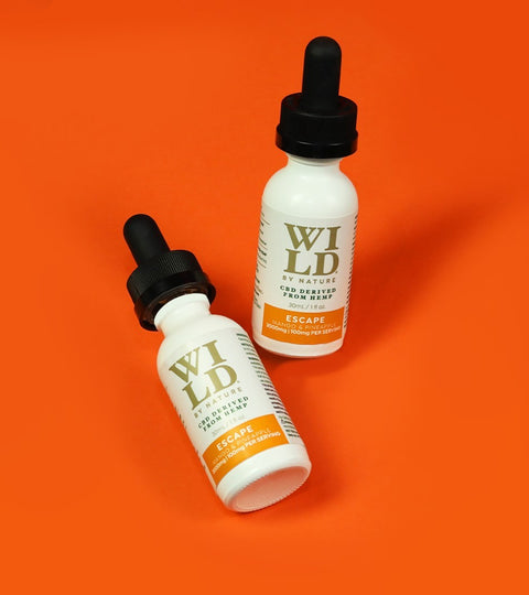 CBD Oil Scams to Avoid